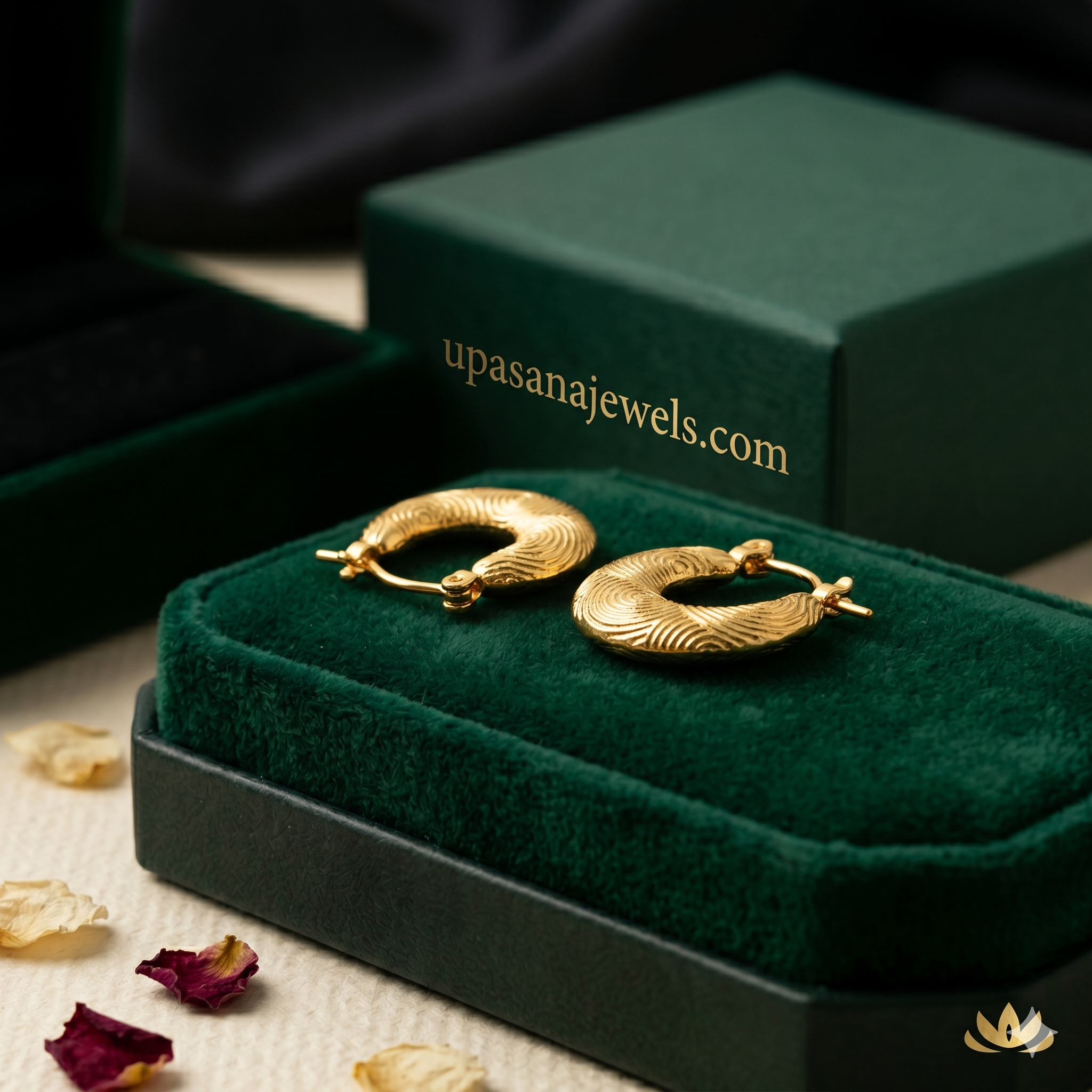 Aurora Luxe Earrings (Gold Finish) premium craftsmanship product view animate-image